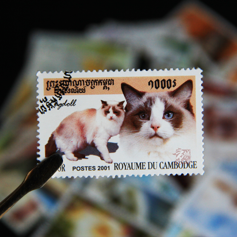 50 Different Cats Stamps 50 No - Collectible Vintage Postage Stamps のレビューと価格