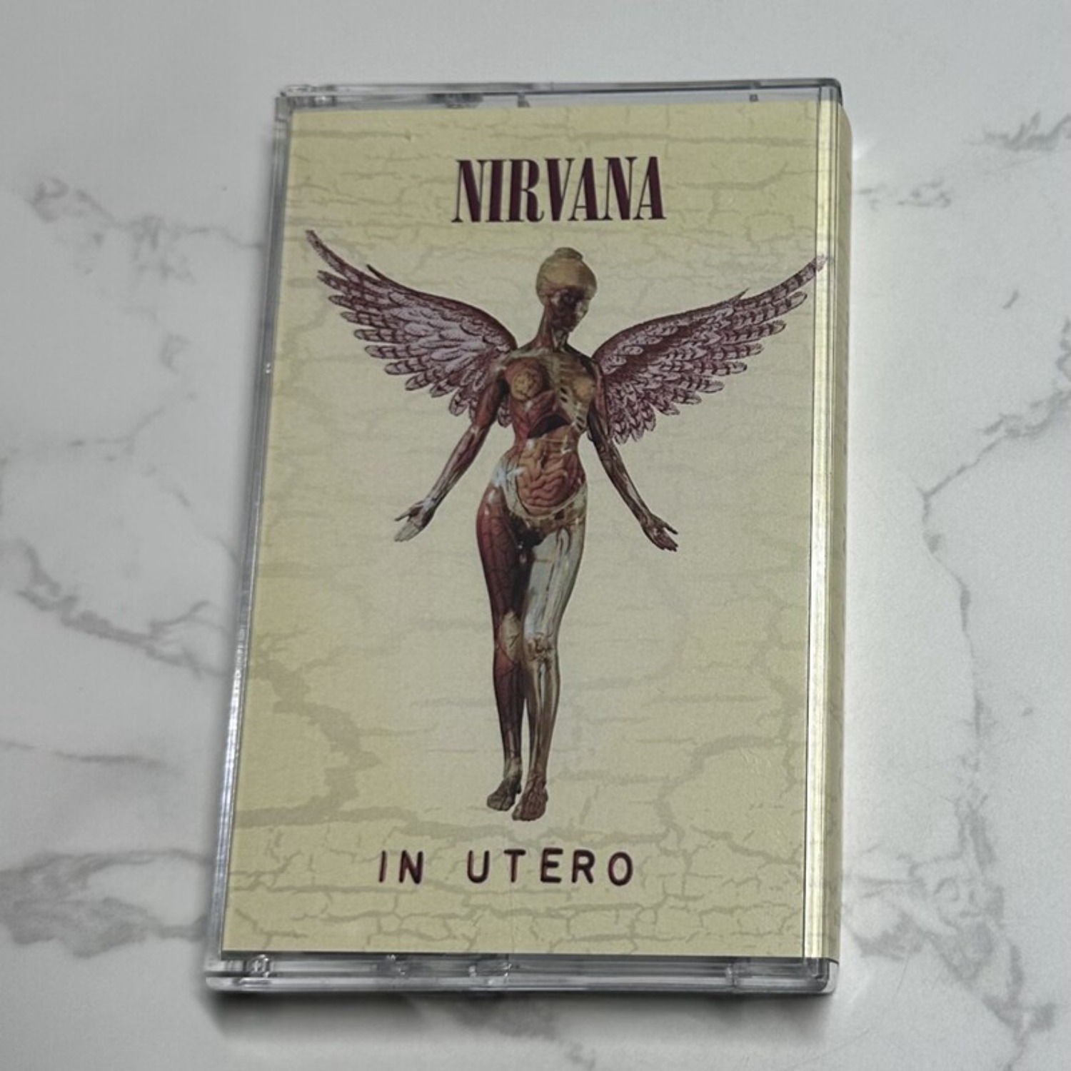 Nirvana Complete Album Collect - Vintage And Collectible のレビューと価格