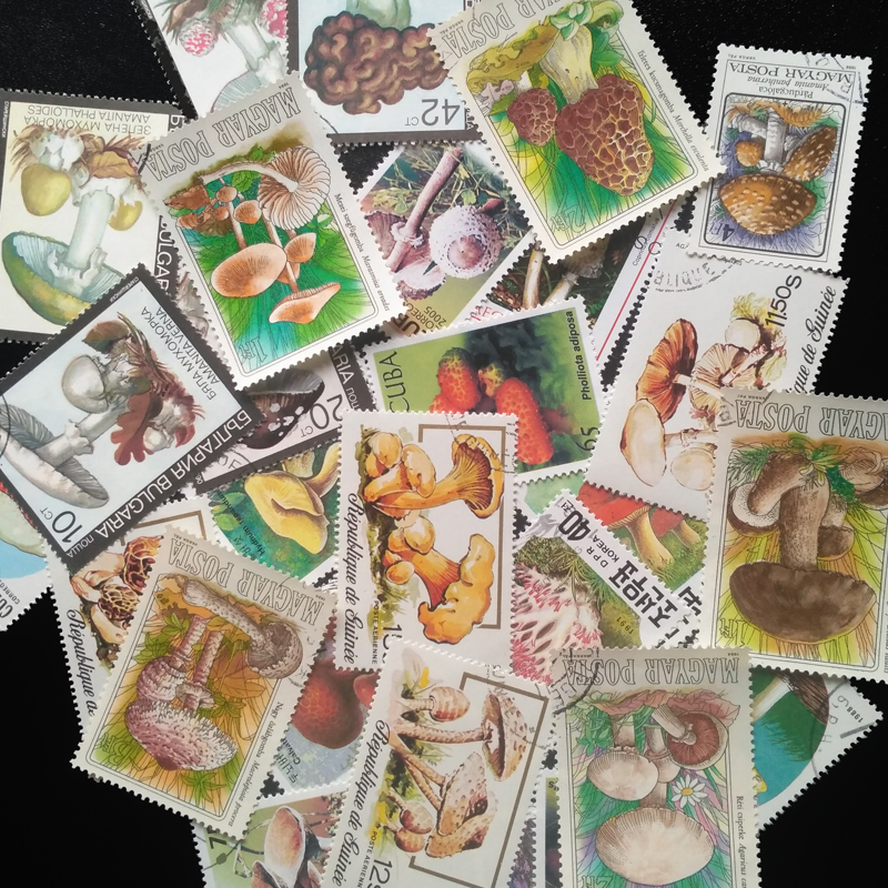 100 Different Original Mushroo - Collectible Vintage Postage Stamps のレビューと価格
