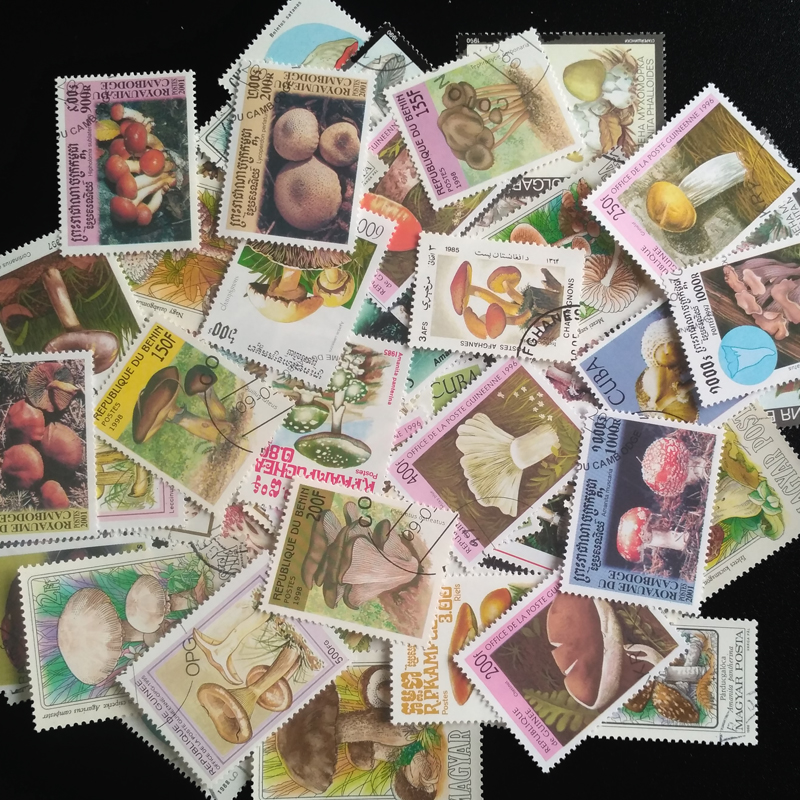 100 Different Original Mushroo - Collectible Vintage Postage Stamps のレビューと価格
