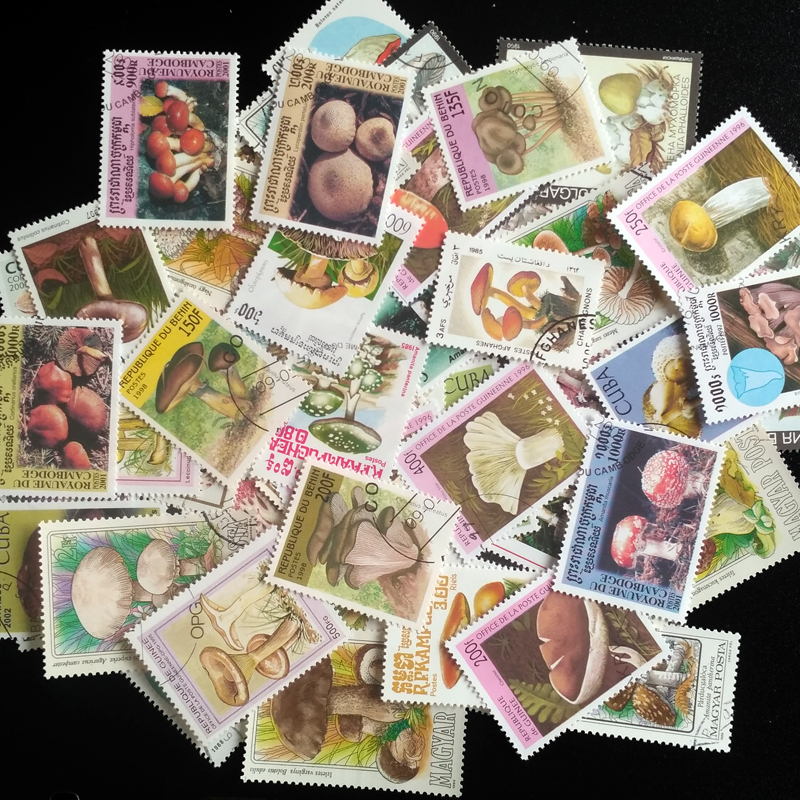100 Different Original Mushroo - Collectible Vintage Postage Stamps のレビューと価格