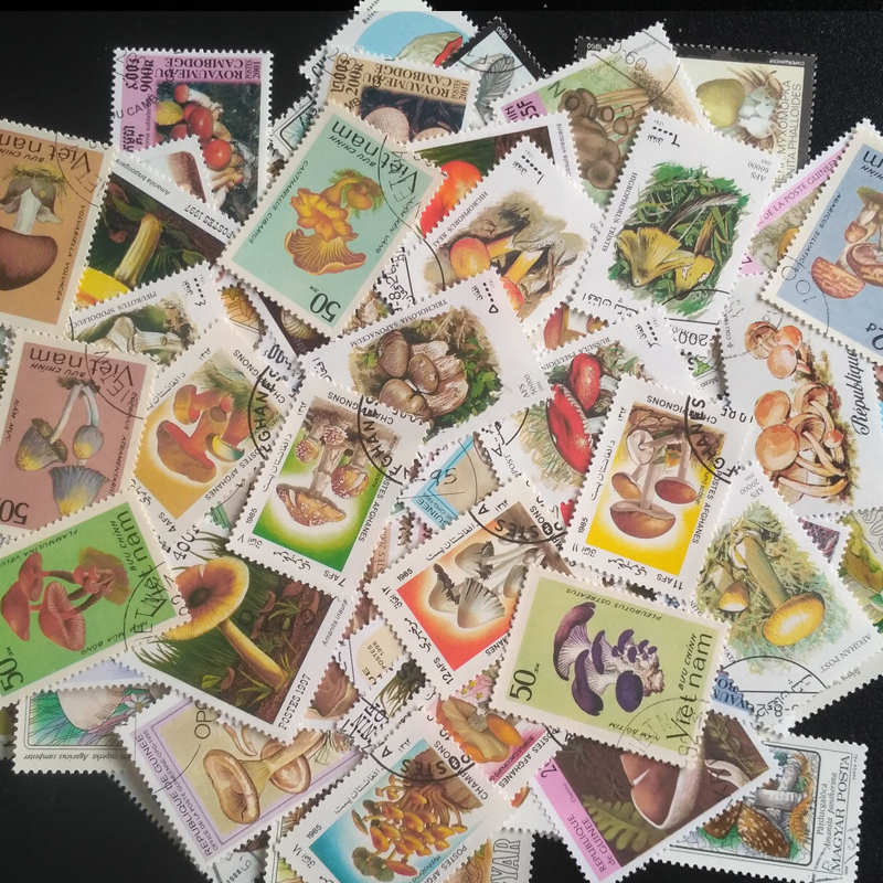 100 Different Original Mushroo - Collectible Vintage Postage Stamps のレビューと価格